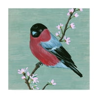 Трговска марка ликовна уметност „Птица и цвеќиња I“ платно уметност од Мелиса Ванг