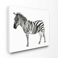 Stuple industries zebra што стои црно -бело акварел животно сликарство платно wallидна уметност, 20, byjennifer