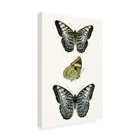 Трговска марка ликовна уметност „Примерок од пеперутка I“ платно уметност од визија студио